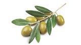Huile d olive biologique